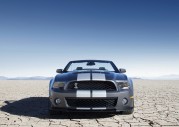 Shelby Cobra GT500 Show Car